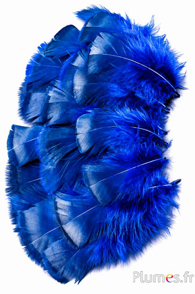 Bronzen kalkoen - gebleekt - 5-15 cm - blauw-karamel